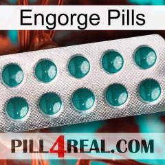 Engorge Pills dapoxetine1